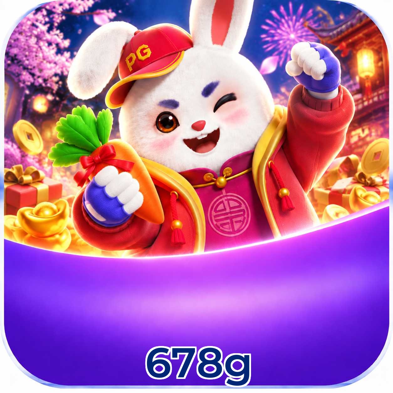 678g Logo