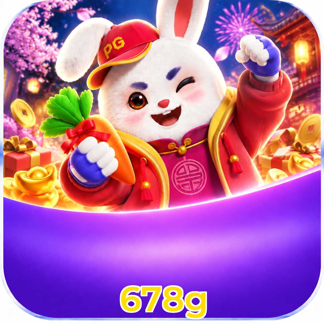 678g VIP Program